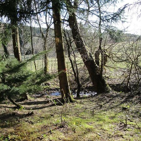 Ferienwohnung Wandervogel Braunlage Zewnętrze zdjęcie