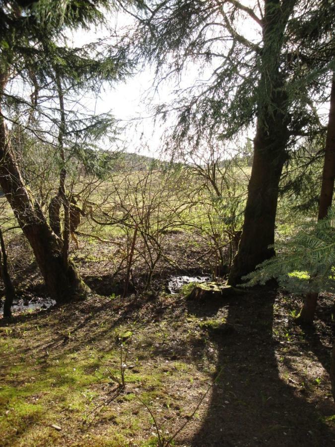 Ferienwohnung Wandervogel Braunlage Zewnętrze zdjęcie