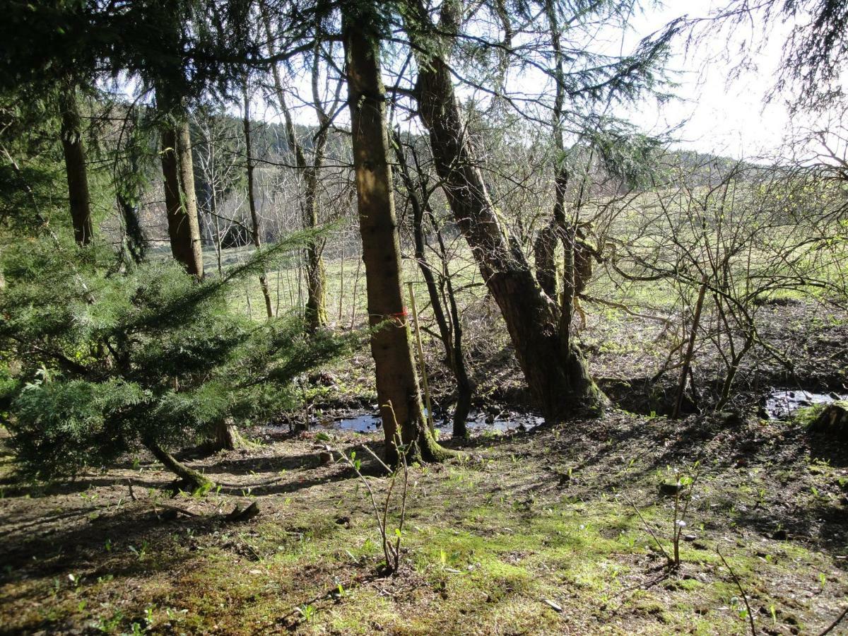 Ferienwohnung Wandervogel Braunlage Zewnętrze zdjęcie