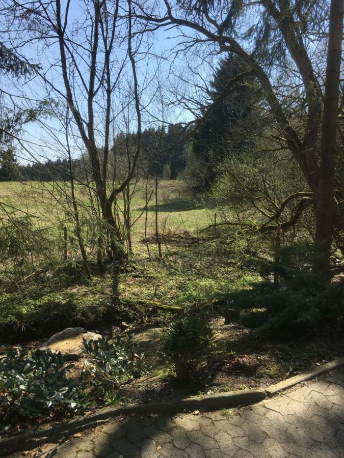 Ferienwohnung Wandervogel Braunlage Zewnętrze zdjęcie